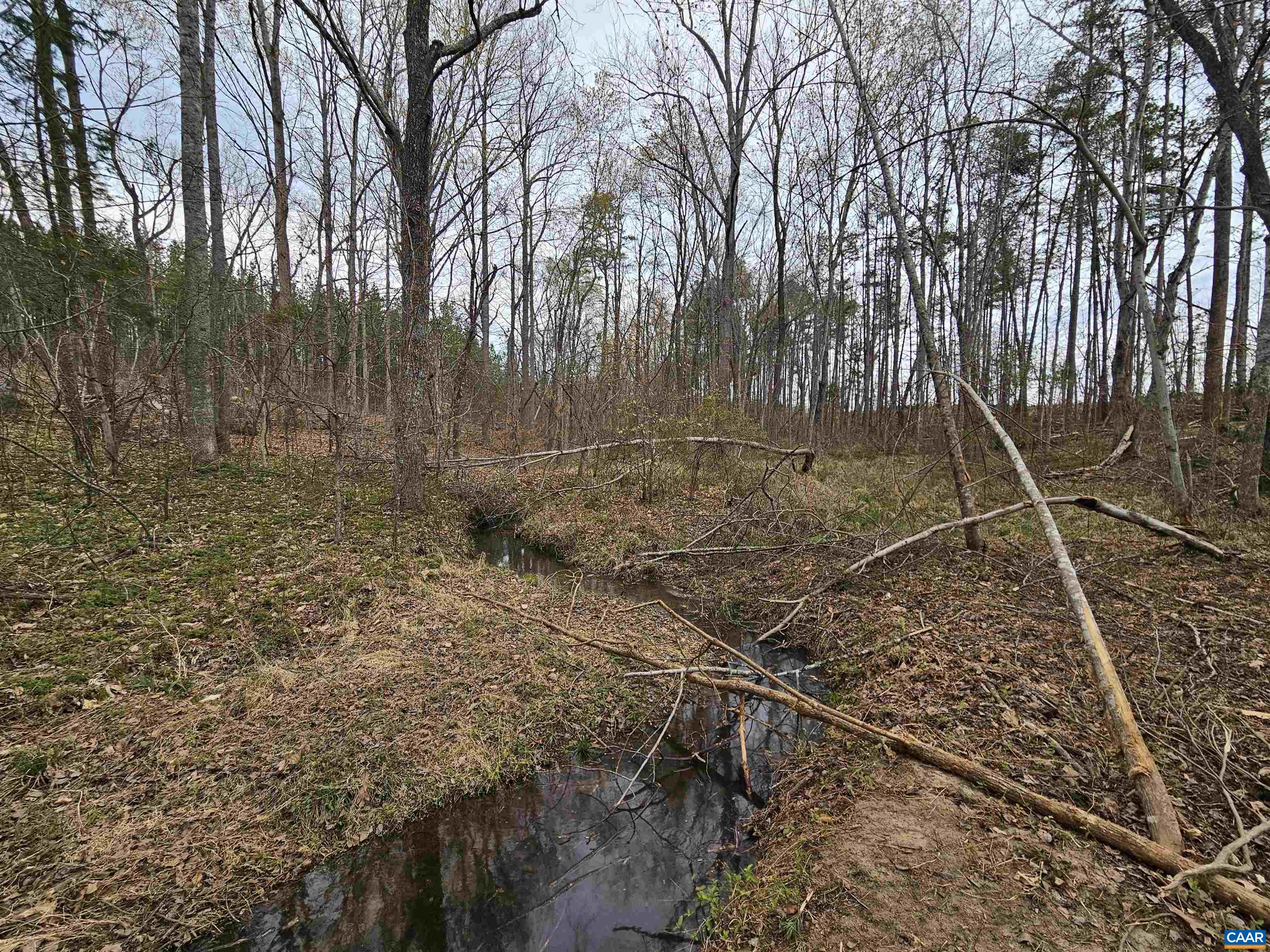 83.84 Ac S JAMES RIVER RD, BUCKINGHAM, Virginia 23921, ,Farm,83.84 Ac S JAMES RIVER RD,675234 MLS # 675234