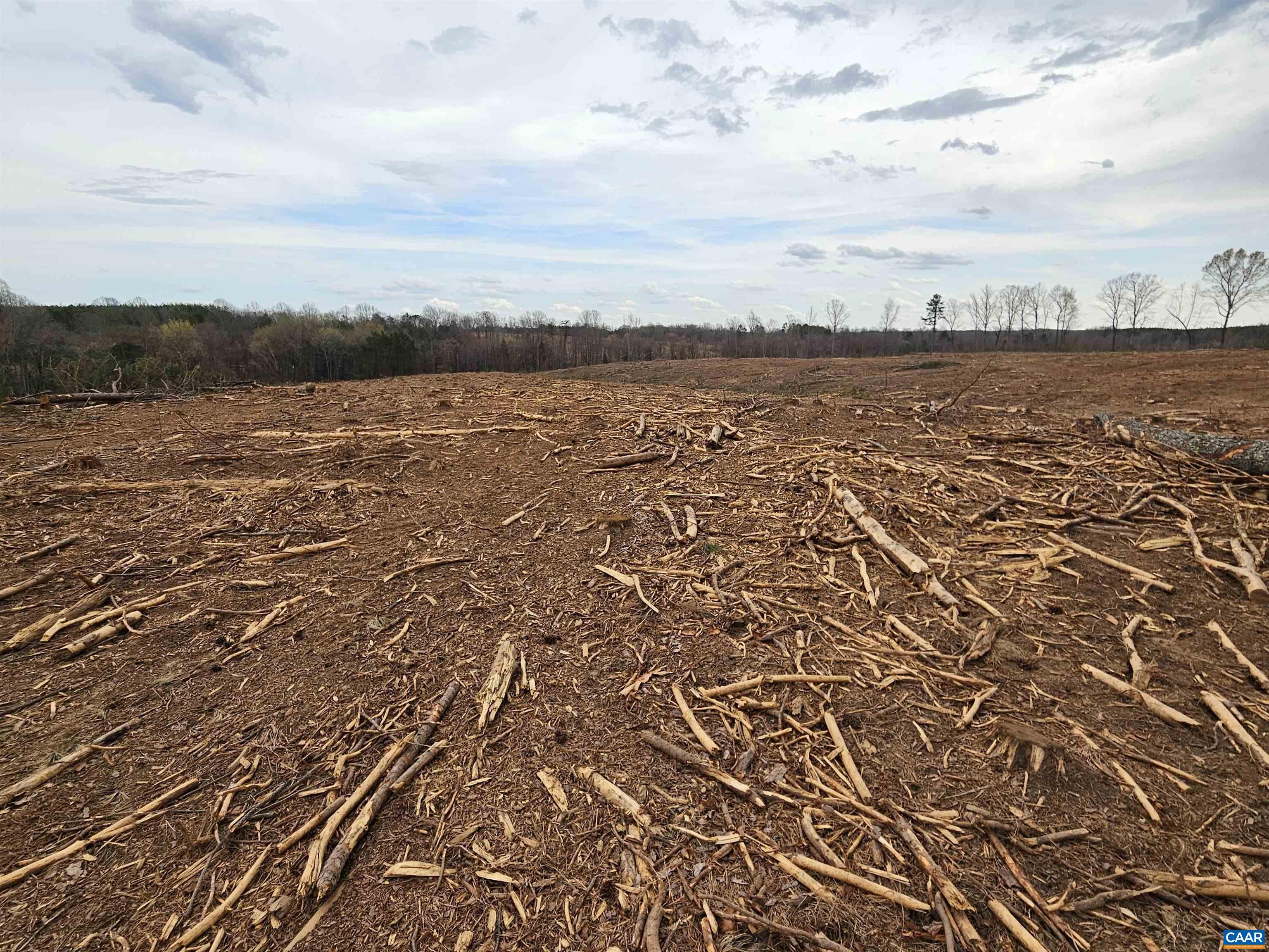 83.84 Ac S JAMES RIVER RD, BUCKINGHAM, Virginia 23921, ,Farm,83.84 Ac S JAMES RIVER RD,675234 MLS # 675234