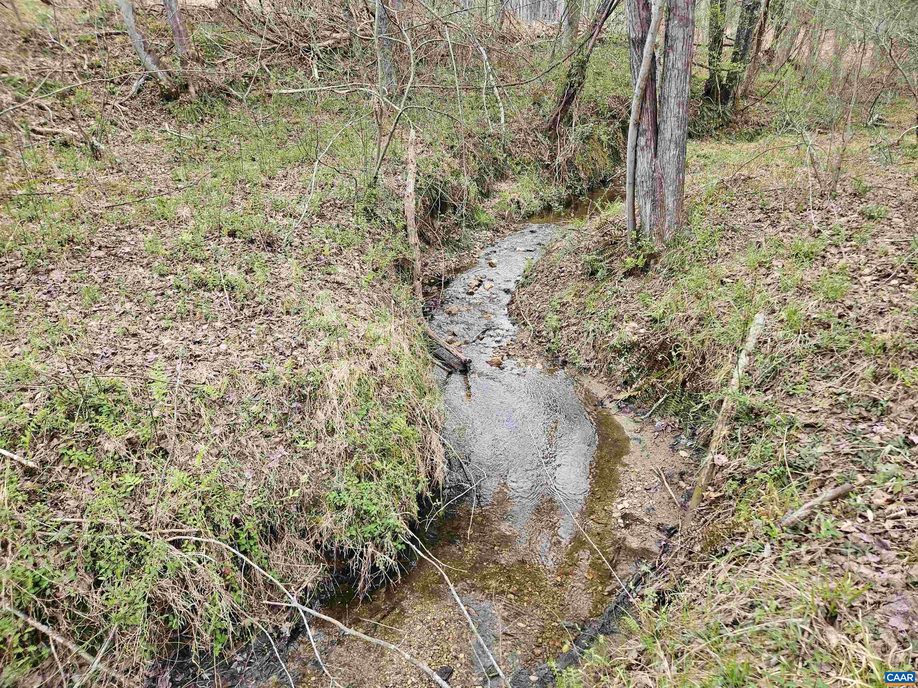 83.84 Ac S JAMES RIVER RD, BUCKINGHAM, Virginia 23921, ,Farm,83.84 Ac S JAMES RIVER RD,675234 MLS # 675234