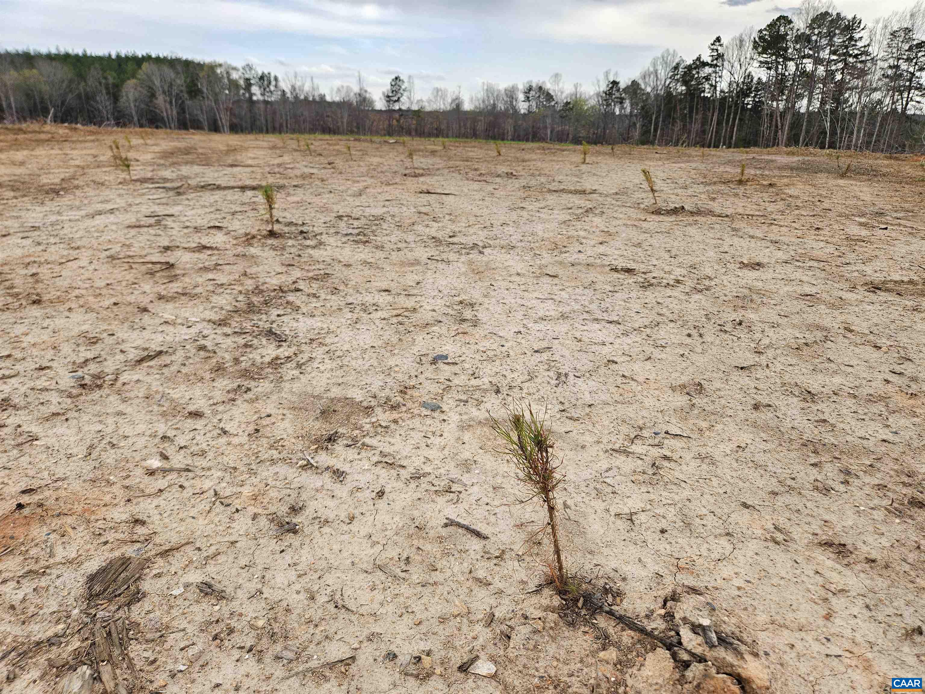 83.84 Ac S JAMES RIVER RD, BUCKINGHAM, Virginia 23921, ,Farm,83.84 Ac S JAMES RIVER RD,675234 MLS # 675234