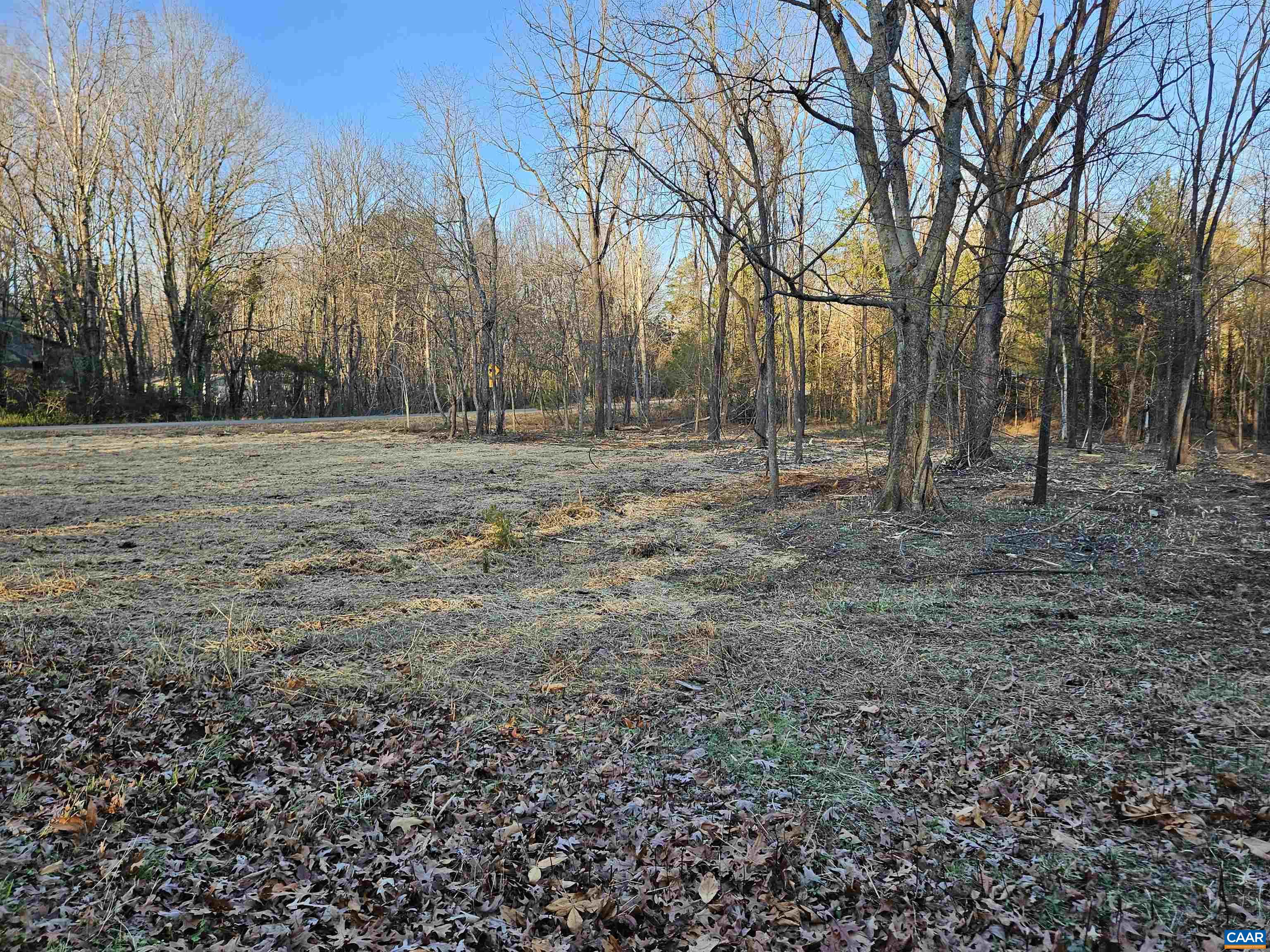 1.441 Ac PHYSIC SPRING RD, DILLWYN, Virginia 23936, ,Land,1.441 Ac PHYSIC SPRING RD,675237 MLS # 675237