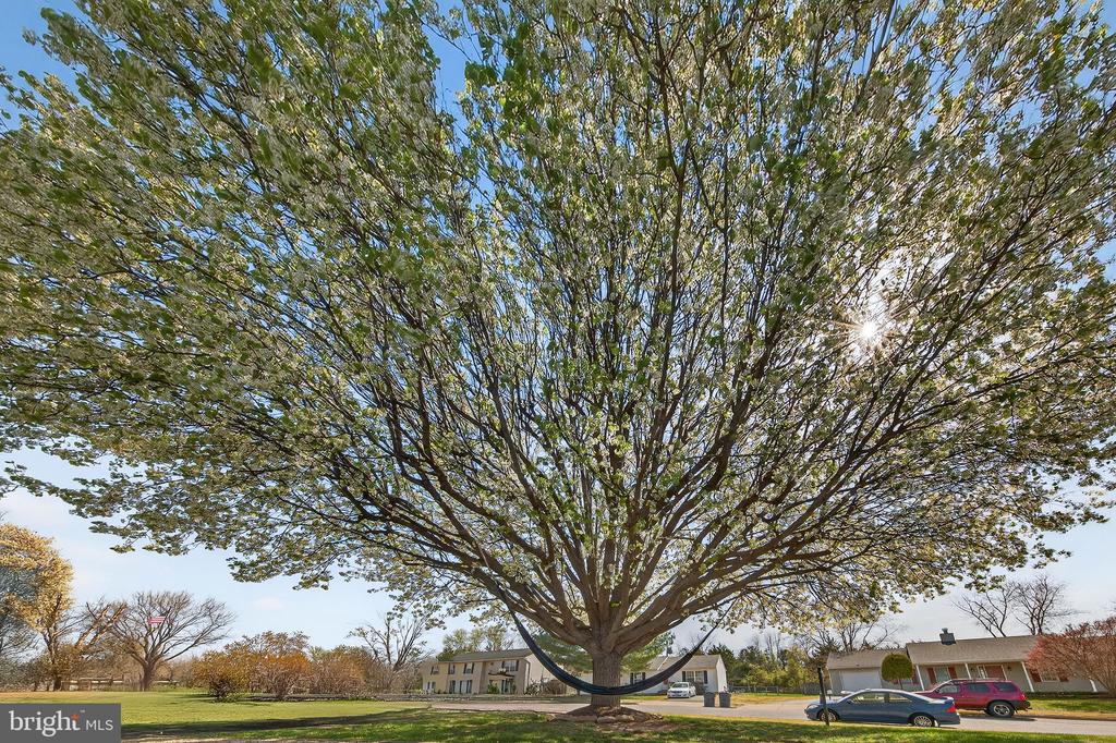 11698 FORT UNION DR, REMINGTON, Virginia 22734, 4 Bedrooms Bedrooms, ,2 BathroomsBathrooms,Residential,11698 FORT UNION DR,VAFQ2021064 MLS # VAFQ2021064