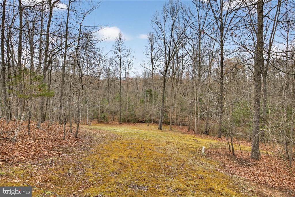 9521 GRASTY GOLD MINE RD, RHOADESVILLE, Virginia 22542, 3 Bedrooms Bedrooms, ,2 BathroomsBathrooms,Residential,9521 GRASTY GOLD MINE RD,VAOR2013674 MLS # VAOR2013674