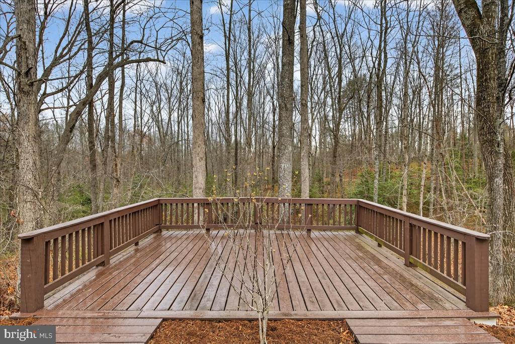 9521 GRASTY GOLD MINE RD, RHOADESVILLE, Virginia 22542, 3 Bedrooms Bedrooms, ,2 BathroomsBathrooms,Residential,9521 GRASTY GOLD MINE RD,VAOR2013674 MLS # VAOR2013674