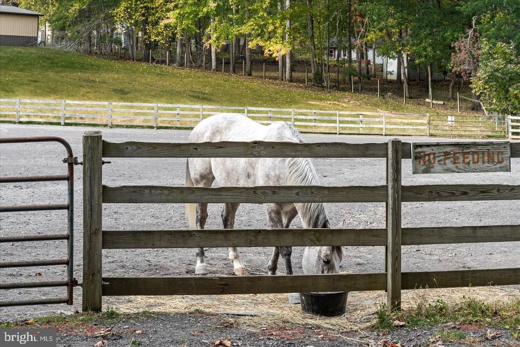 705 MONTICELLO CIR, LOCUST GROVE, Virginia 22508, 4 Bedrooms Bedrooms, ,2 BathroomsBathrooms,Residential,705 MONTICELLO CIR,VAOR2013646 MLS # VAOR2013646