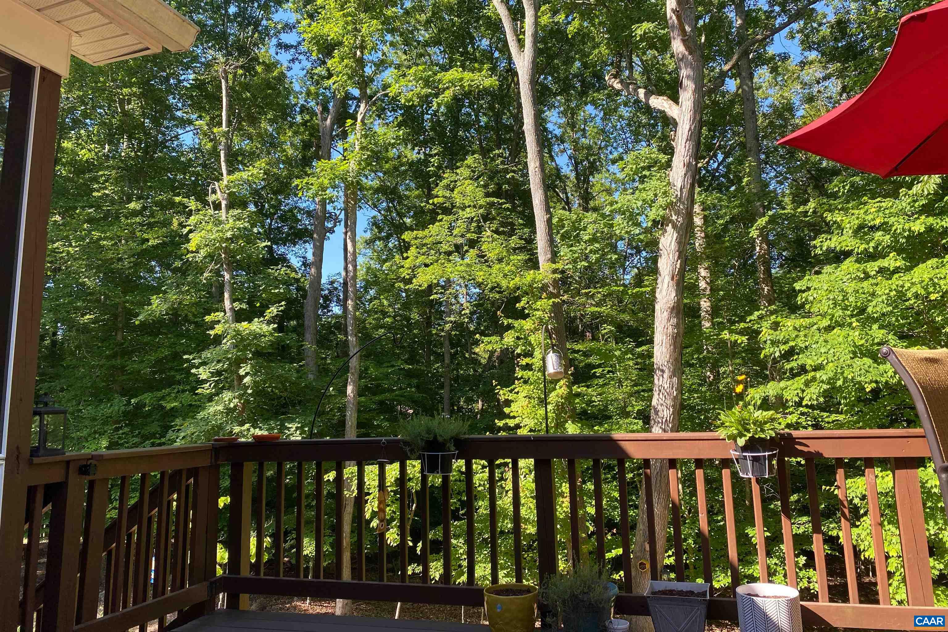 16 BRASSIE TER, PALMYRA, Virginia 22963, 4 Bedrooms Bedrooms, ,3 BathroomsBathrooms,Residential,16 BRASSIE TER,674924 MLS # 674924