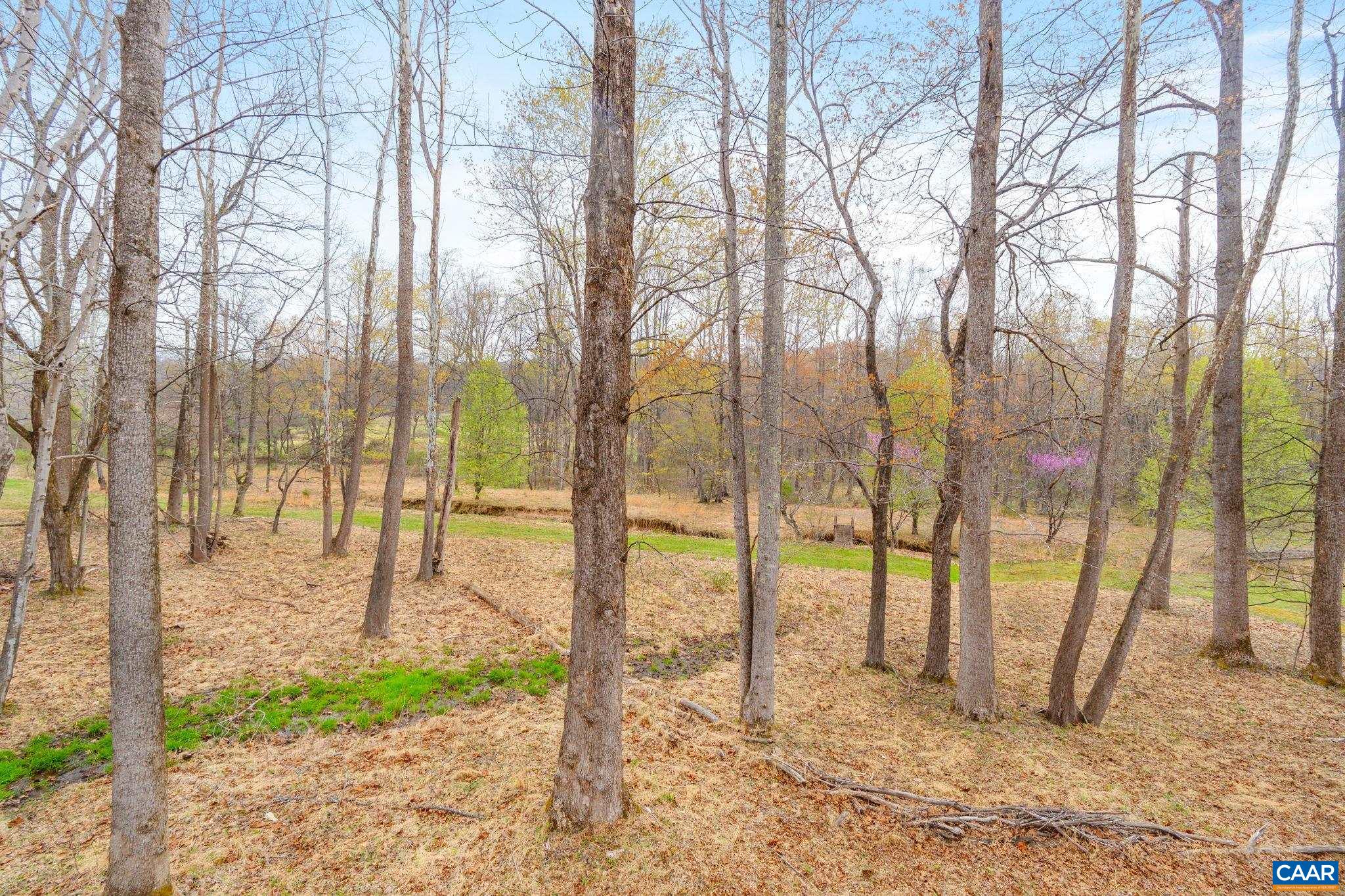 500 RHUE HOLLOW RD, ROSELAND, Virginia 22967, 2 Bedrooms Bedrooms, ,2 BathroomsBathrooms,Residential,Fern Brooke,500 RHUE HOLLOW RD,675217 MLS # 675217