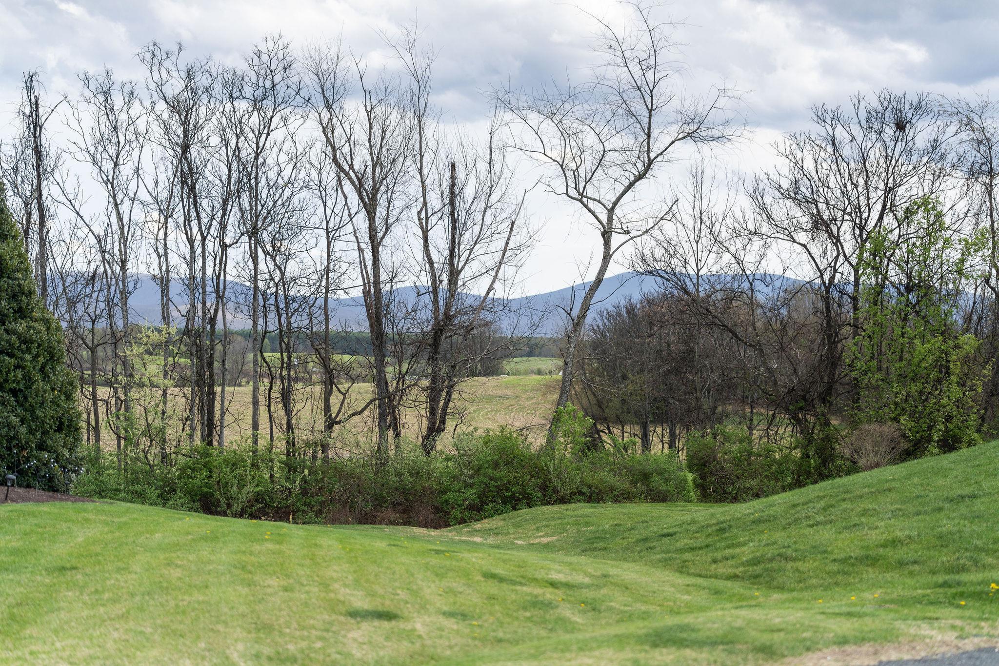 12 LITTLE JOHN CT, WAYNESBORO, Virginia 22980, 4 Bedrooms Bedrooms, ,3 BathroomsBathrooms,Residential,12 LITTLE JOHN CT,675219 MLS # 675219