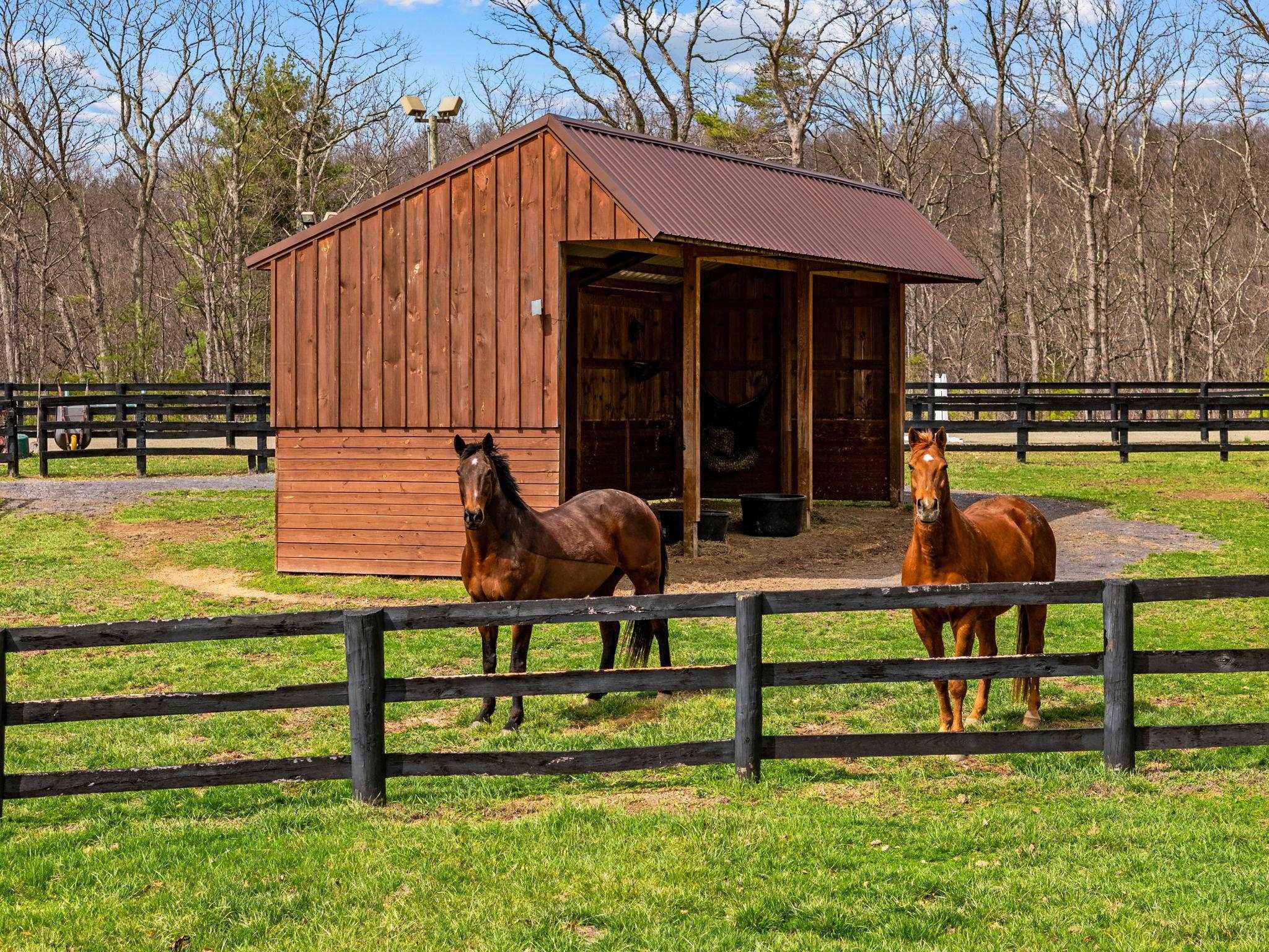 632 DRY CREEK LN, WINCHESTER, Virginia 22603, 4 Bedrooms Bedrooms, ,4 BathroomsBathrooms,Residential,Autumn Ridge Farm,632 DRY CREEK LN,675222 MLS # 675222