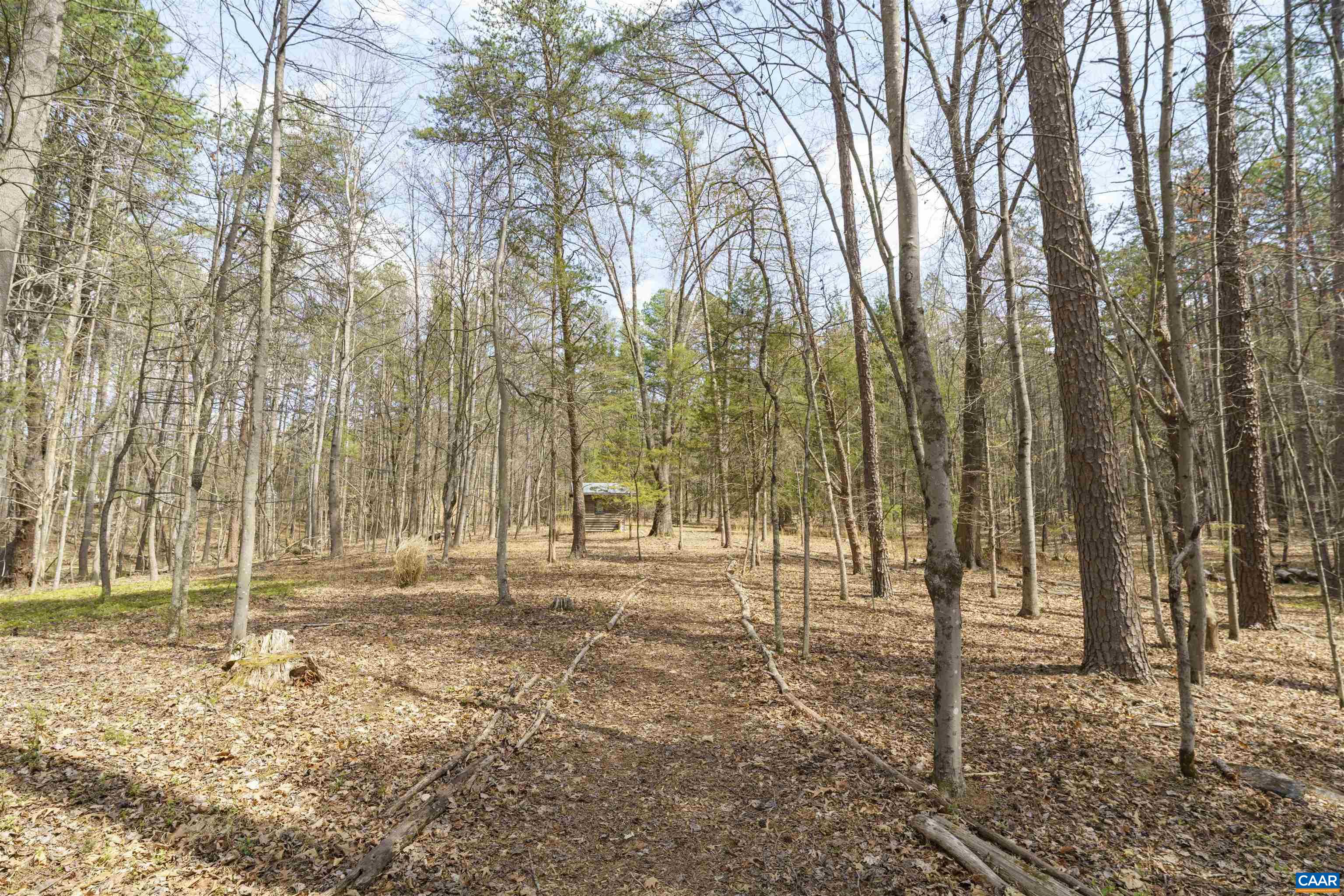 5695 FREE UNION RD, FREE UNION, Virginia 22940, 3 Bedrooms Bedrooms, ,2 BathroomsBathrooms,Residential,Toad Hall,5695 FREE UNION RD,675232 MLS # 675232