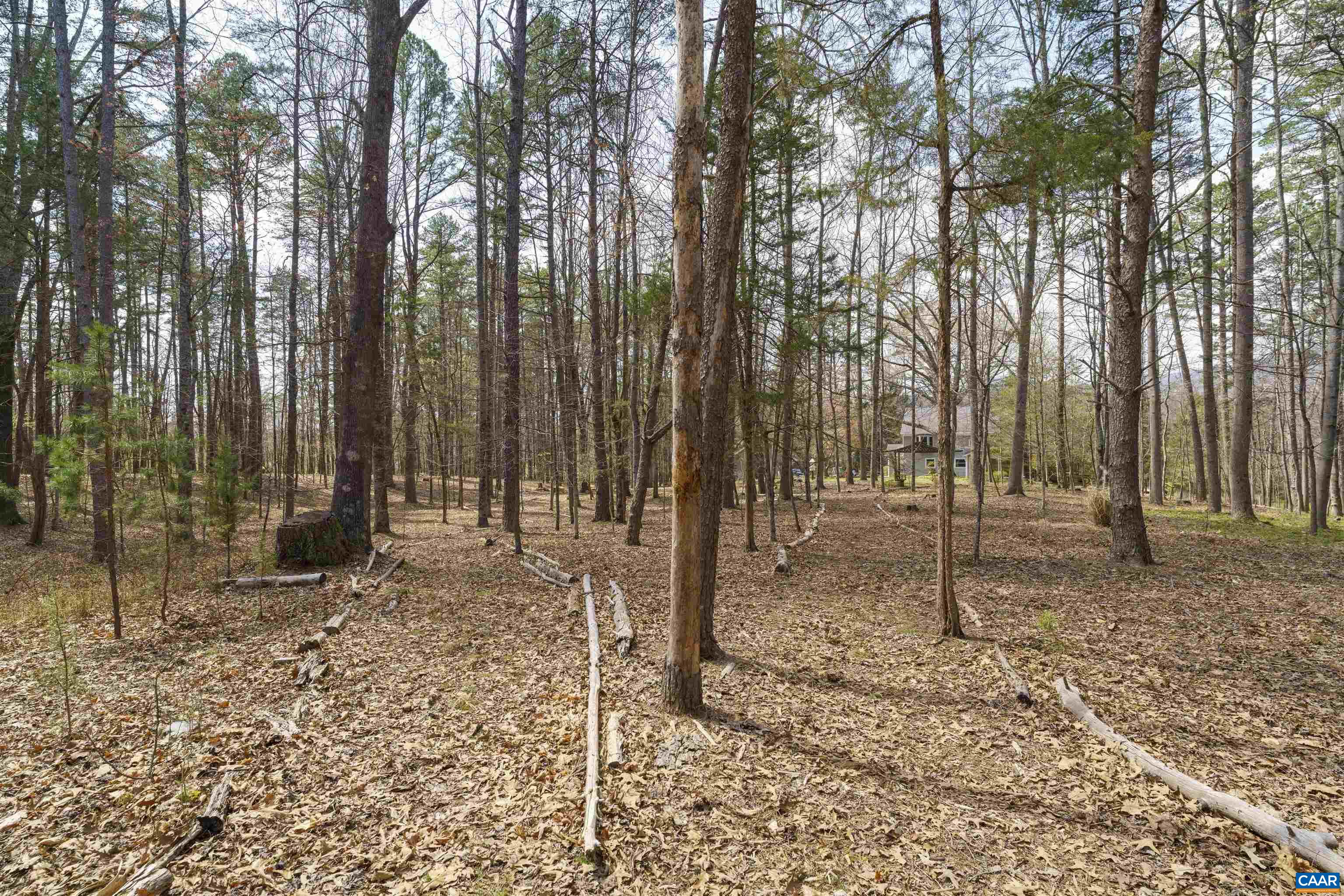 5695 FREE UNION RD, FREE UNION, Virginia 22940, 3 Bedrooms Bedrooms, ,2 BathroomsBathrooms,Residential,Toad Hall,5695 FREE UNION RD,675232 MLS # 675232