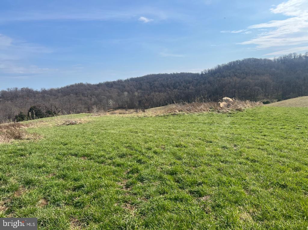 2065 LEEDS MANOR RD, DELAPLANE, Virginia, ,Farm,2065 LEEDS MANOR RD,VAFQ2021278 MLS # VAFQ2021278