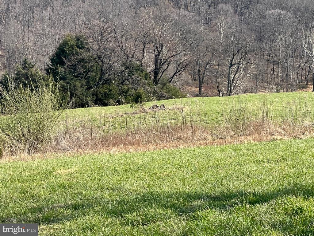 2065 LEEDS MANOR RD, DELAPLANE, Virginia, ,Farm,2065 LEEDS MANOR RD,VAFQ2021278 MLS # VAFQ2021278