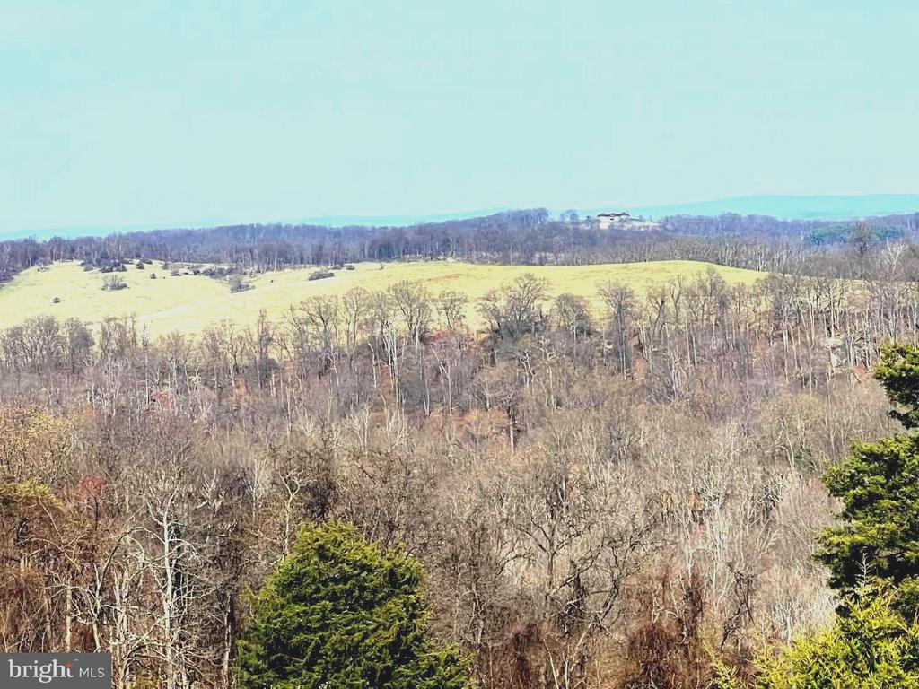 2065 LEEDS MANOR RD, DELAPLANE, Virginia, ,Farm,2065 LEEDS MANOR RD,VAFQ2021278 MLS # VAFQ2021278