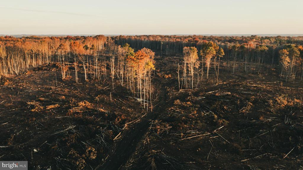 12600 W CATHARPIN RD, SPOTSYLVANIA, Virginia 22551, ,Farm,12600 W CATHARPIN RD,VASP2040586 MLS # VASP2040586