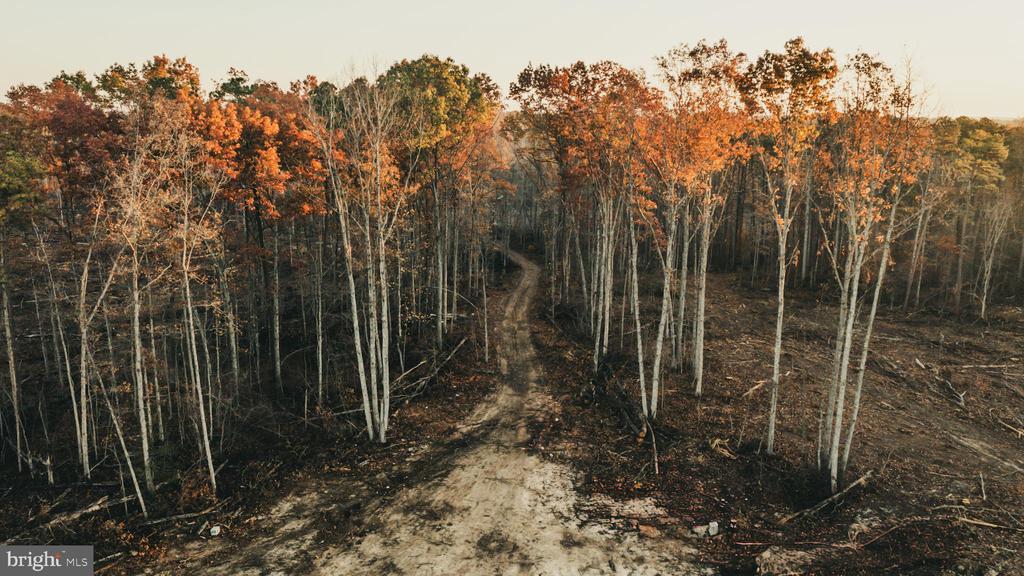 12600 W CATHARPIN RD, SPOTSYLVANIA, Virginia 22551, ,Farm,12600 W CATHARPIN RD,VASP2040586 MLS # VASP2040586