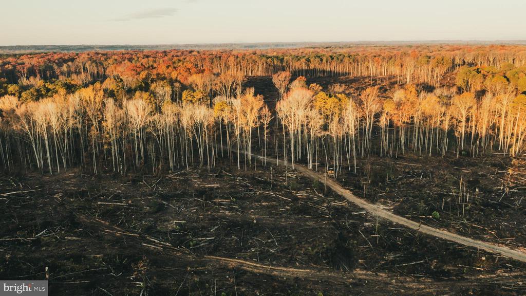 12600 W CATHARPIN RD, SPOTSYLVANIA, Virginia 22551, ,Farm,12600 W CATHARPIN RD,VASP2040586 MLS # VASP2040586