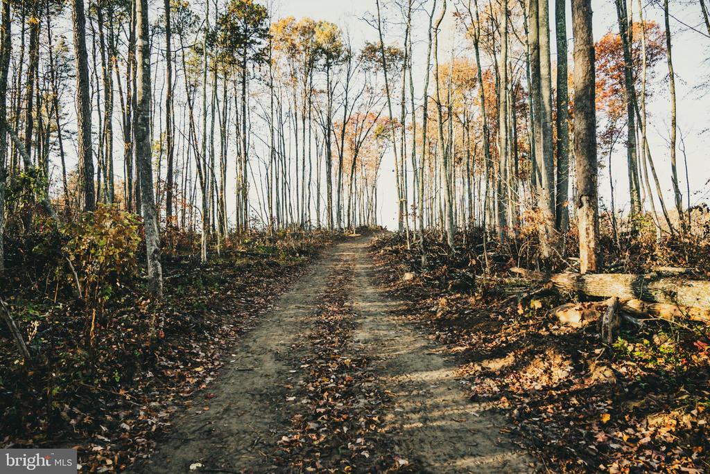 12600 W CATHARPIN RD, SPOTSYLVANIA, Virginia 22551, ,Farm,12600 W CATHARPIN RD,VASP2040586 MLS # VASP2040586