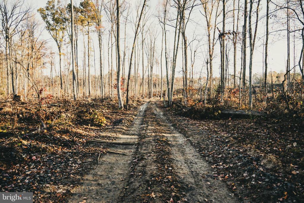 12600 W CATHARPIN RD, SPOTSYLVANIA, Virginia 22551, ,Farm,12600 W CATHARPIN RD,VASP2040586 MLS # VASP2040586