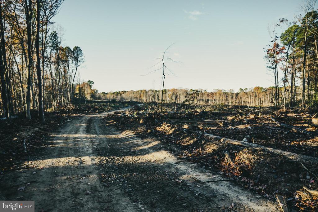 12600 W CATHARPIN RD, SPOTSYLVANIA, Virginia 22551, ,Farm,12600 W CATHARPIN RD,VASP2040586 MLS # VASP2040586