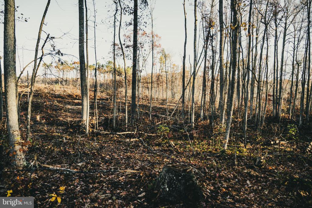 12600 W CATHARPIN RD, SPOTSYLVANIA, Virginia 22551, ,Farm,12600 W CATHARPIN RD,VASP2040586 MLS # VASP2040586