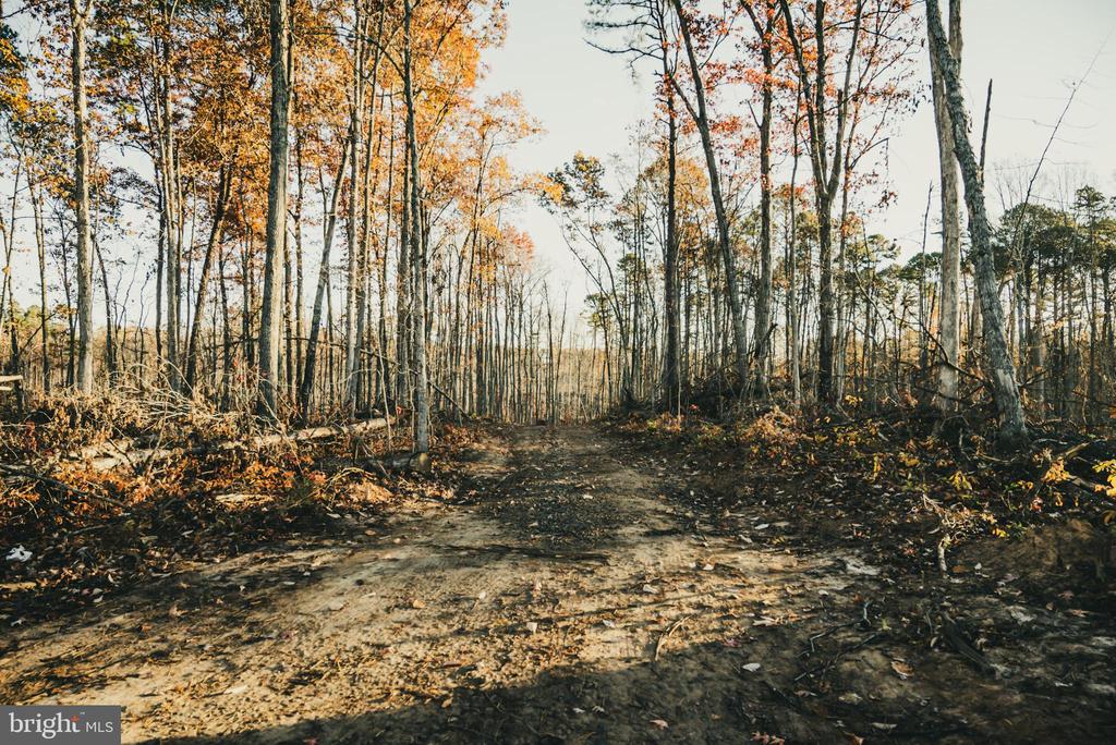 12600 W CATHARPIN RD, SPOTSYLVANIA, Virginia 22551, ,Farm,12600 W CATHARPIN RD,VASP2040586 MLS # VASP2040586