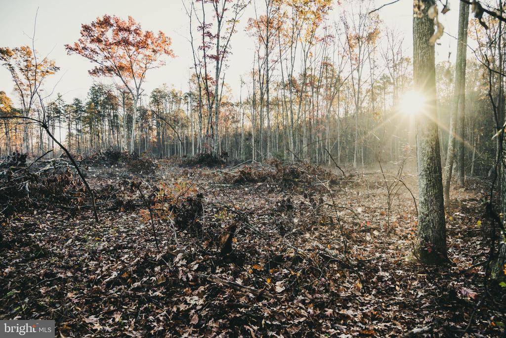 12600 W CATHARPIN RD, SPOTSYLVANIA, Virginia 22551, ,Farm,12600 W CATHARPIN RD,VASP2040586 MLS # VASP2040586