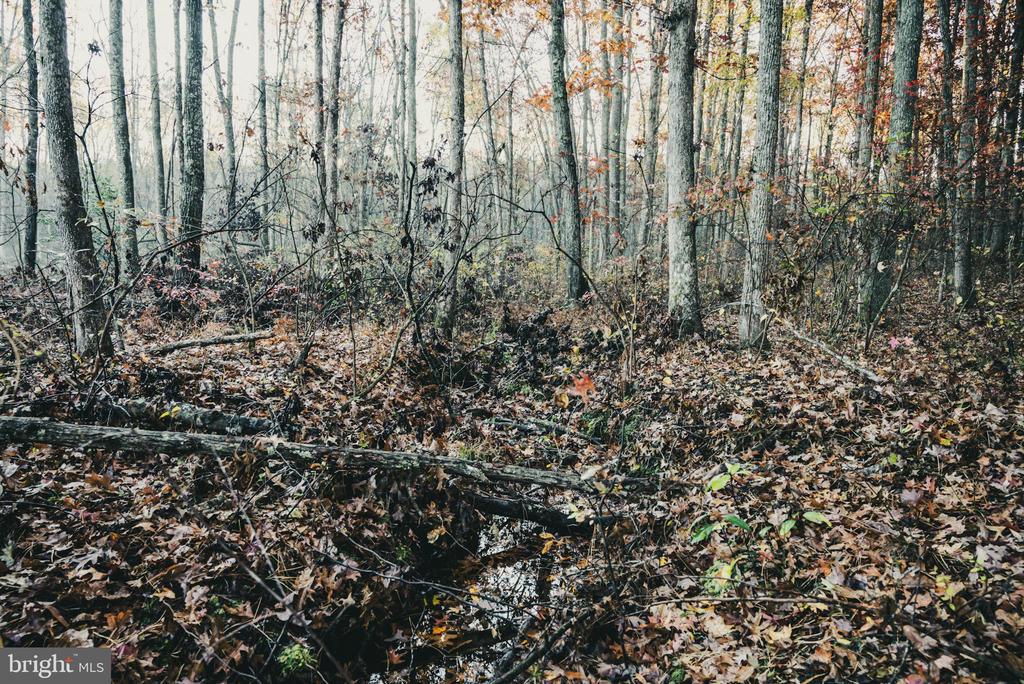 12600 W CATHARPIN RD, SPOTSYLVANIA, Virginia 22551, ,Farm,12600 W CATHARPIN RD,VASP2040586 MLS # VASP2040586