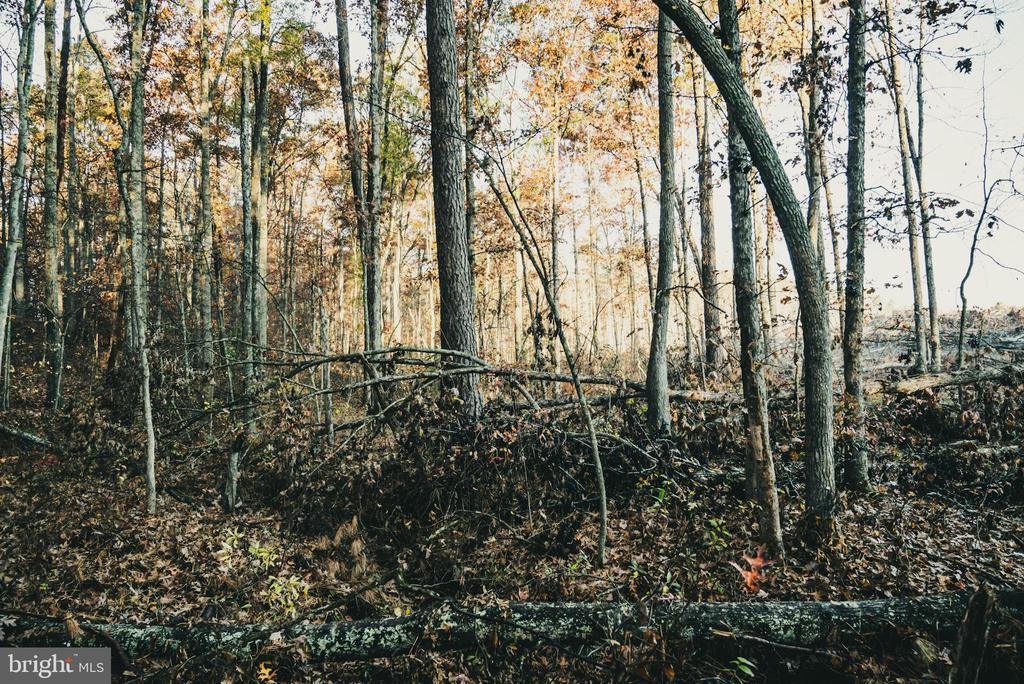 12600 W CATHARPIN RD, SPOTSYLVANIA, Virginia 22551, ,Farm,12600 W CATHARPIN RD,VASP2040586 MLS # VASP2040586