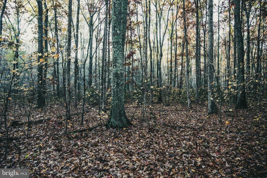 12600 W CATHARPIN RD, SPOTSYLVANIA, Virginia 22551, ,Farm,12600 W CATHARPIN RD,VASP2040586 MLS # VASP2040586