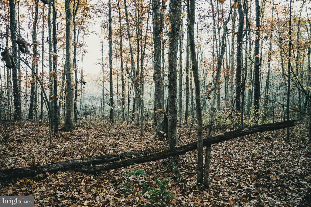 12600 W CATHARPIN RD, SPOTSYLVANIA, Virginia 22551, ,Farm,12600 W CATHARPIN RD,VASP2040586 MLS # VASP2040586