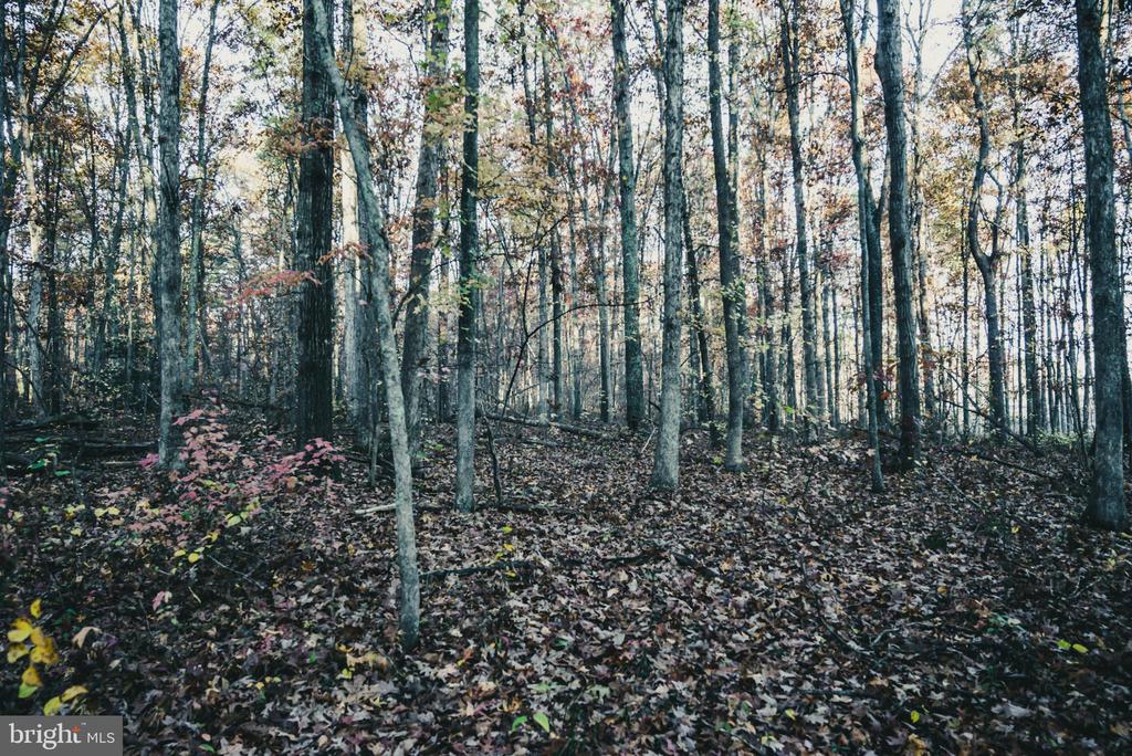 12600 W CATHARPIN RD, SPOTSYLVANIA, Virginia 22551, ,Farm,12600 W CATHARPIN RD,VASP2040586 MLS # VASP2040586