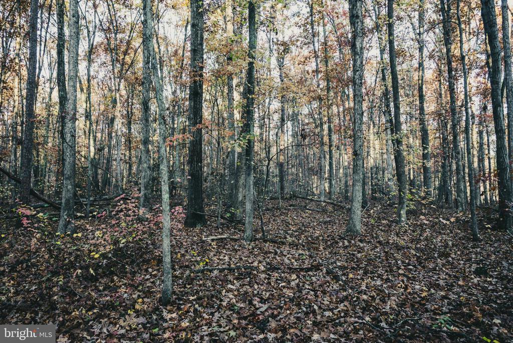 12600 W CATHARPIN RD, SPOTSYLVANIA, Virginia 22551, ,Farm,12600 W CATHARPIN RD,VASP2040586 MLS # VASP2040586