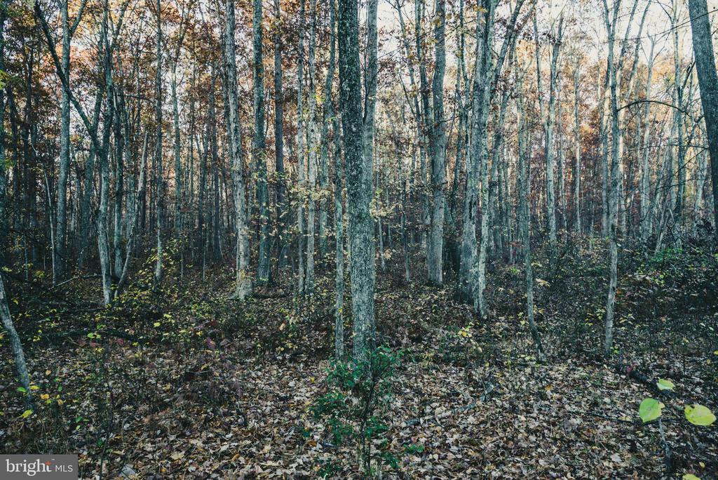 12600 W CATHARPIN RD, SPOTSYLVANIA, Virginia 22551, ,Farm,12600 W CATHARPIN RD,VASP2040586 MLS # VASP2040586