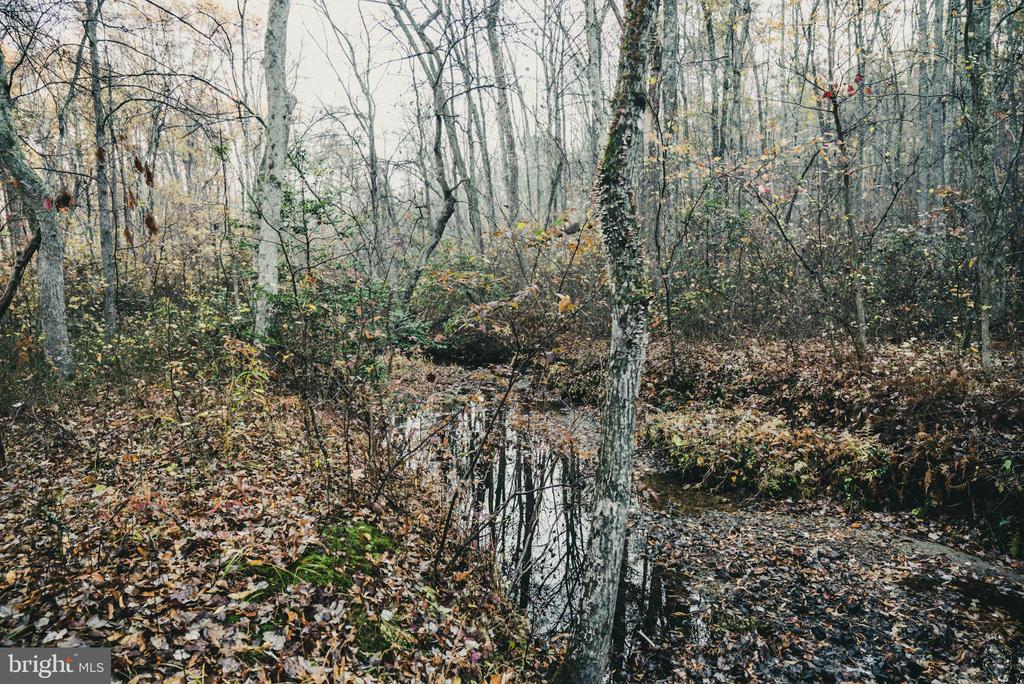 12600 W CATHARPIN RD, SPOTSYLVANIA, Virginia 22551, ,Farm,12600 W CATHARPIN RD,VASP2040586 MLS # VASP2040586