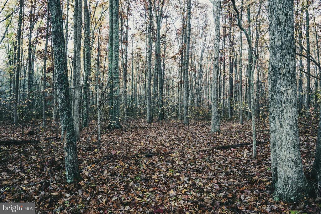 12600 W CATHARPIN RD, SPOTSYLVANIA, Virginia 22551, ,Farm,12600 W CATHARPIN RD,VASP2040586 MLS # VASP2040586