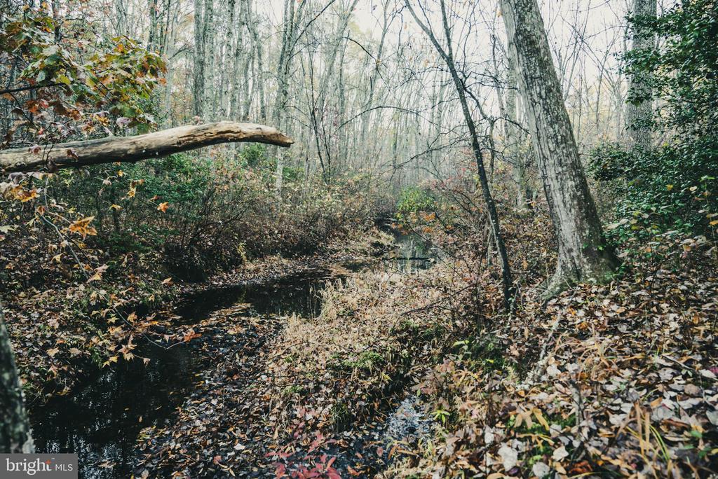 12600 W CATHARPIN RD, SPOTSYLVANIA, Virginia 22551, ,Farm,12600 W CATHARPIN RD,VASP2040586 MLS # VASP2040586