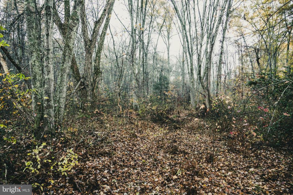 12600 W CATHARPIN RD, SPOTSYLVANIA, Virginia 22551, ,Farm,12600 W CATHARPIN RD,VASP2040586 MLS # VASP2040586