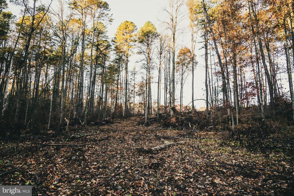 12600 W CATHARPIN RD, SPOTSYLVANIA, Virginia 22551, ,Farm,12600 W CATHARPIN RD,VASP2040586 MLS # VASP2040586