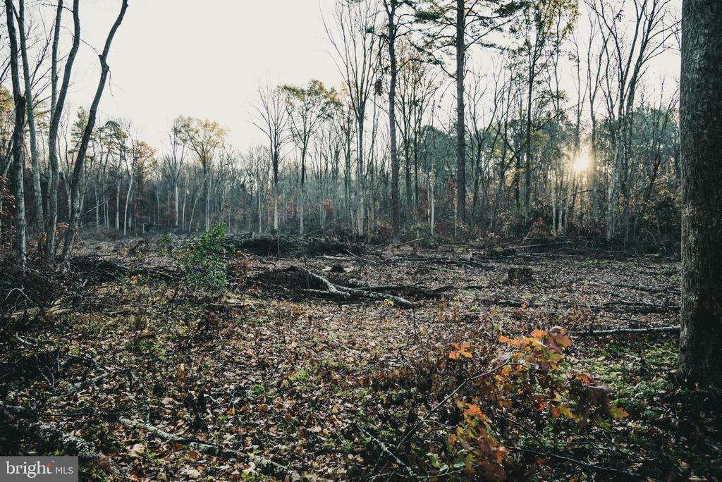 12600 W CATHARPIN RD, SPOTSYLVANIA, Virginia 22551, ,Farm,12600 W CATHARPIN RD,VASP2040586 MLS # VASP2040586