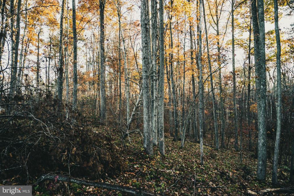 12600 W CATHARPIN RD, SPOTSYLVANIA, Virginia 22551, ,Farm,12600 W CATHARPIN RD,VASP2040586 MLS # VASP2040586