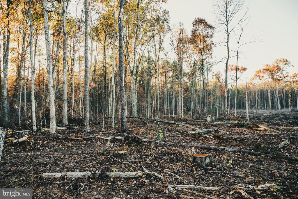 12600 W CATHARPIN RD, SPOTSYLVANIA, Virginia 22551, ,Farm,12600 W CATHARPIN RD,VASP2040586 MLS # VASP2040586