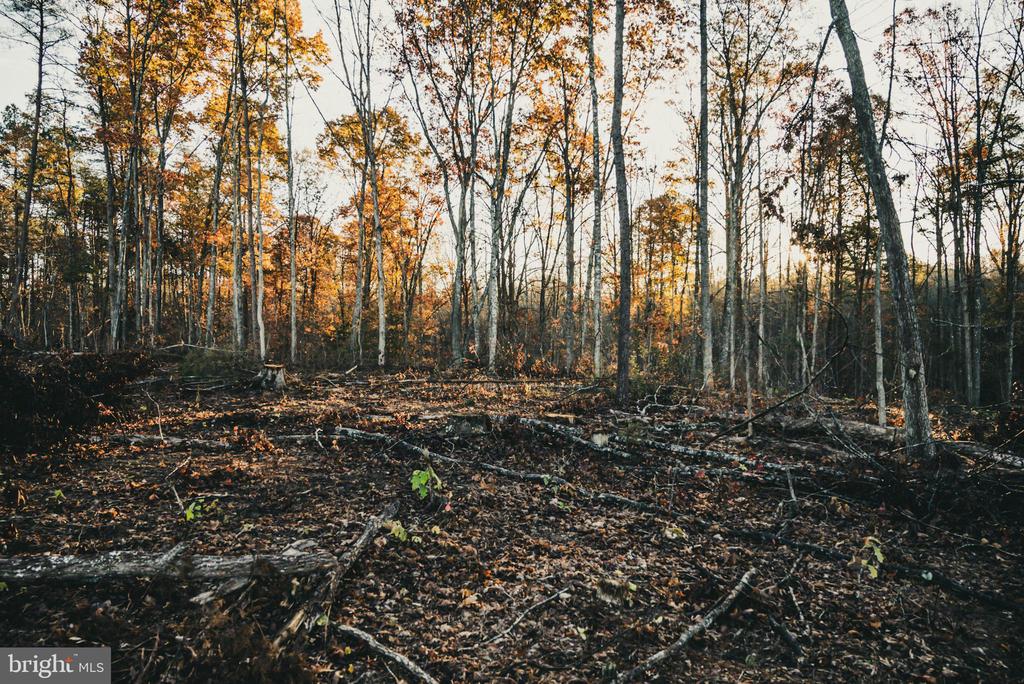 12600 W CATHARPIN RD, SPOTSYLVANIA, Virginia 22551, ,Farm,12600 W CATHARPIN RD,VASP2040586 MLS # VASP2040586