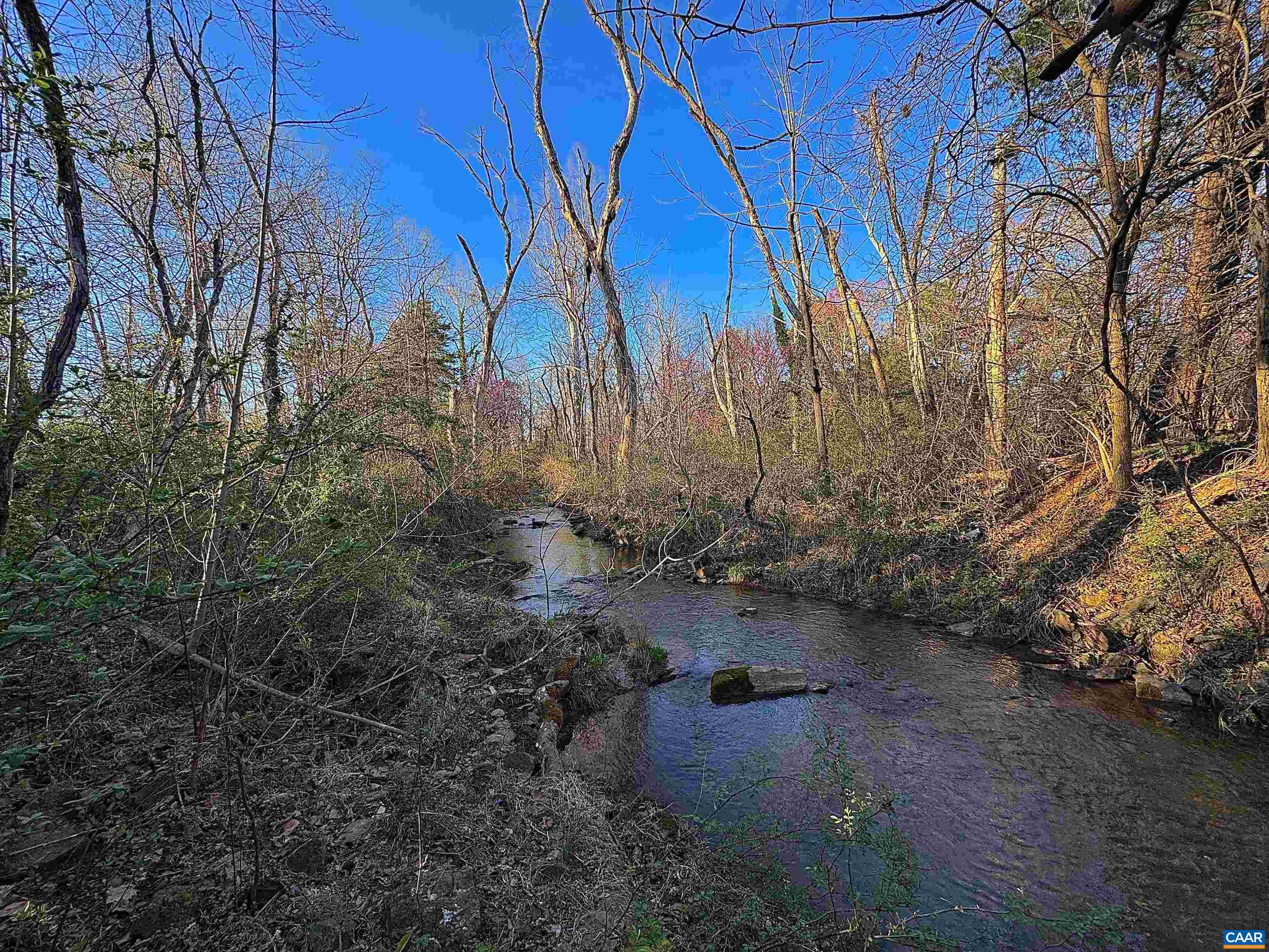 TBD GORDON AVE, LOUISA, Virginia 23093, ,Land,TBD GORDON AVE,675121 MLS # 675121