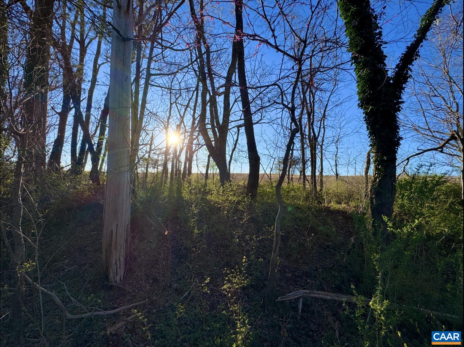 TBD GORDON AVE, LOUISA, Virginia 23093, ,Land,TBD GORDON AVE,675121 MLS # 675121