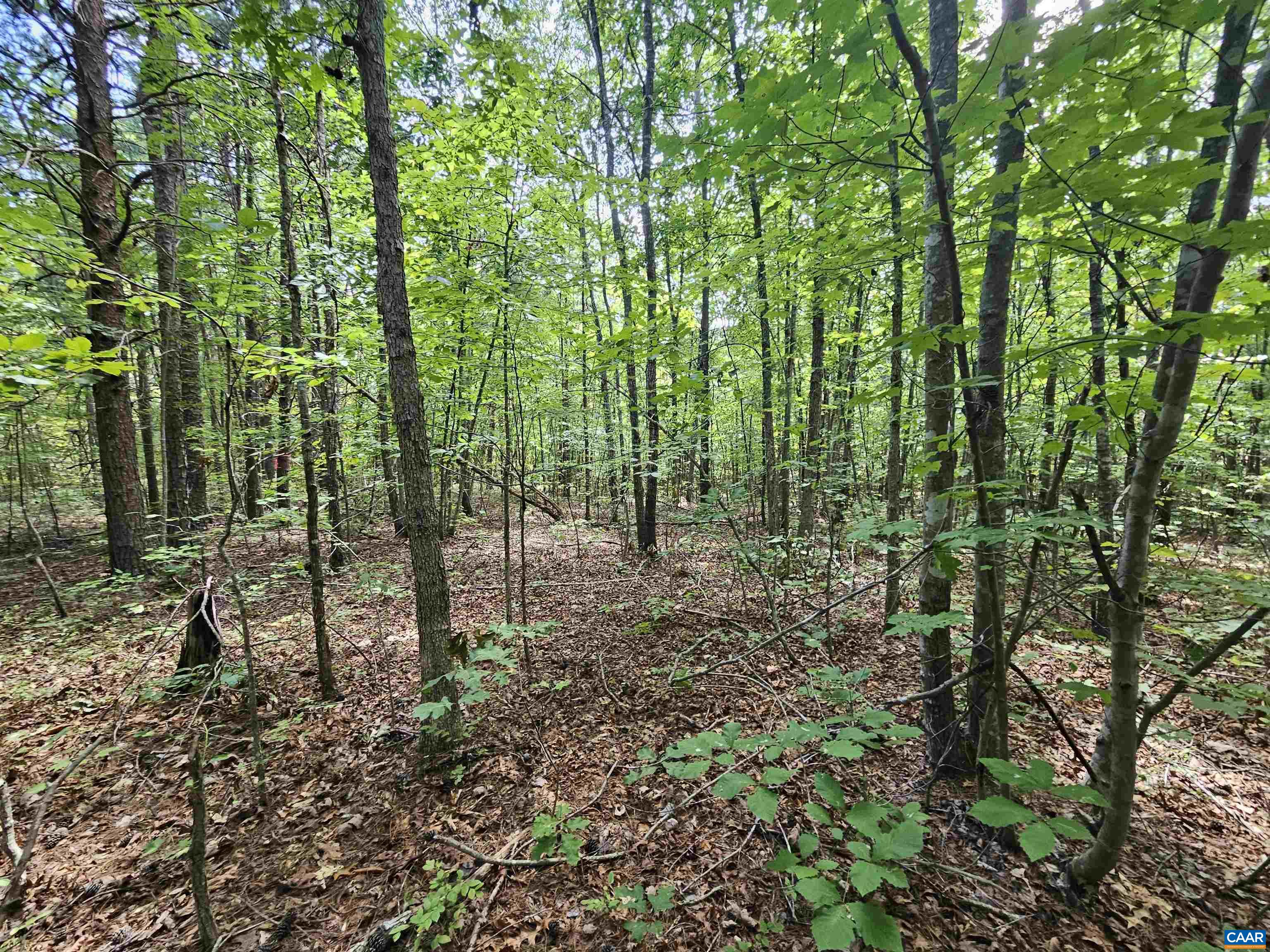 100 Ac W JAMES ANDERSON HWY, GLADSTONE, Virginia 24553, ,Farm,100 Ac W JAMES ANDERSON HWY,675255 MLS # 675255