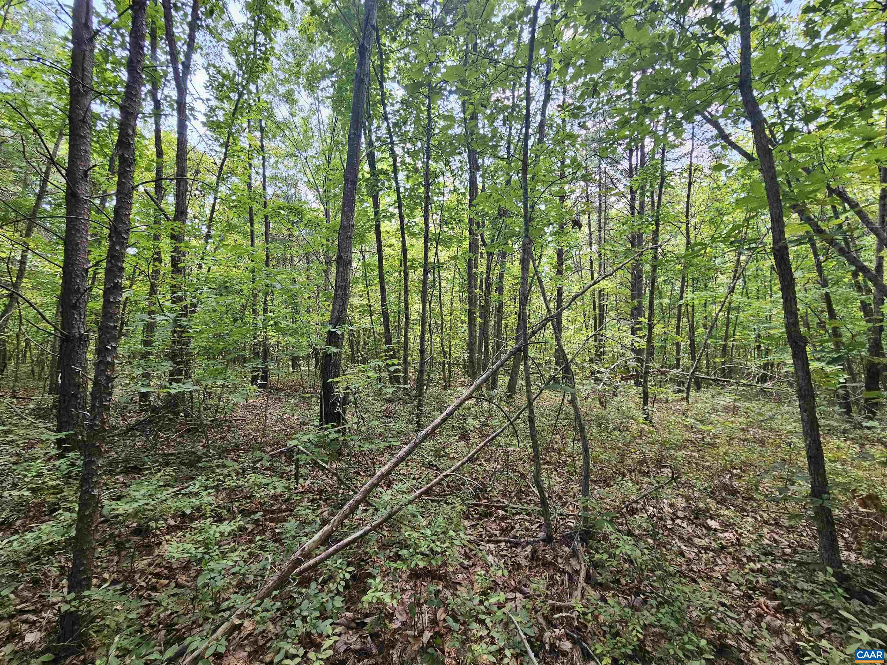 100 Ac W JAMES ANDERSON HWY, GLADSTONE, Virginia 24553, ,Farm,100 Ac W JAMES ANDERSON HWY,675255 MLS # 675255