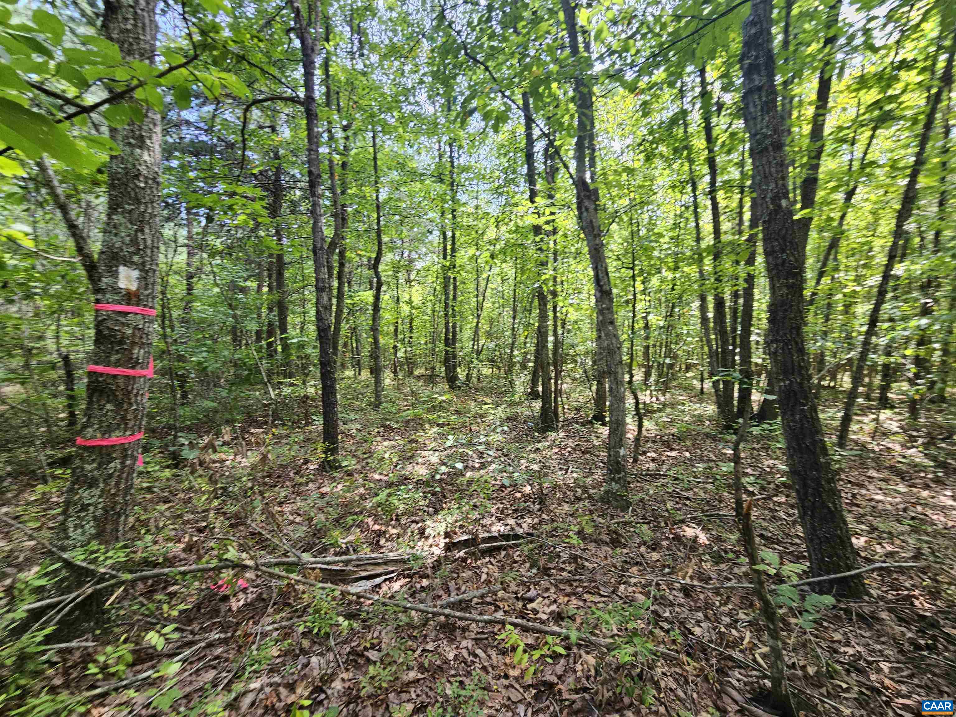 100 Ac W JAMES ANDERSON HWY, GLADSTONE, Virginia 24553, ,Farm,100 Ac W JAMES ANDERSON HWY,675255 MLS # 675255