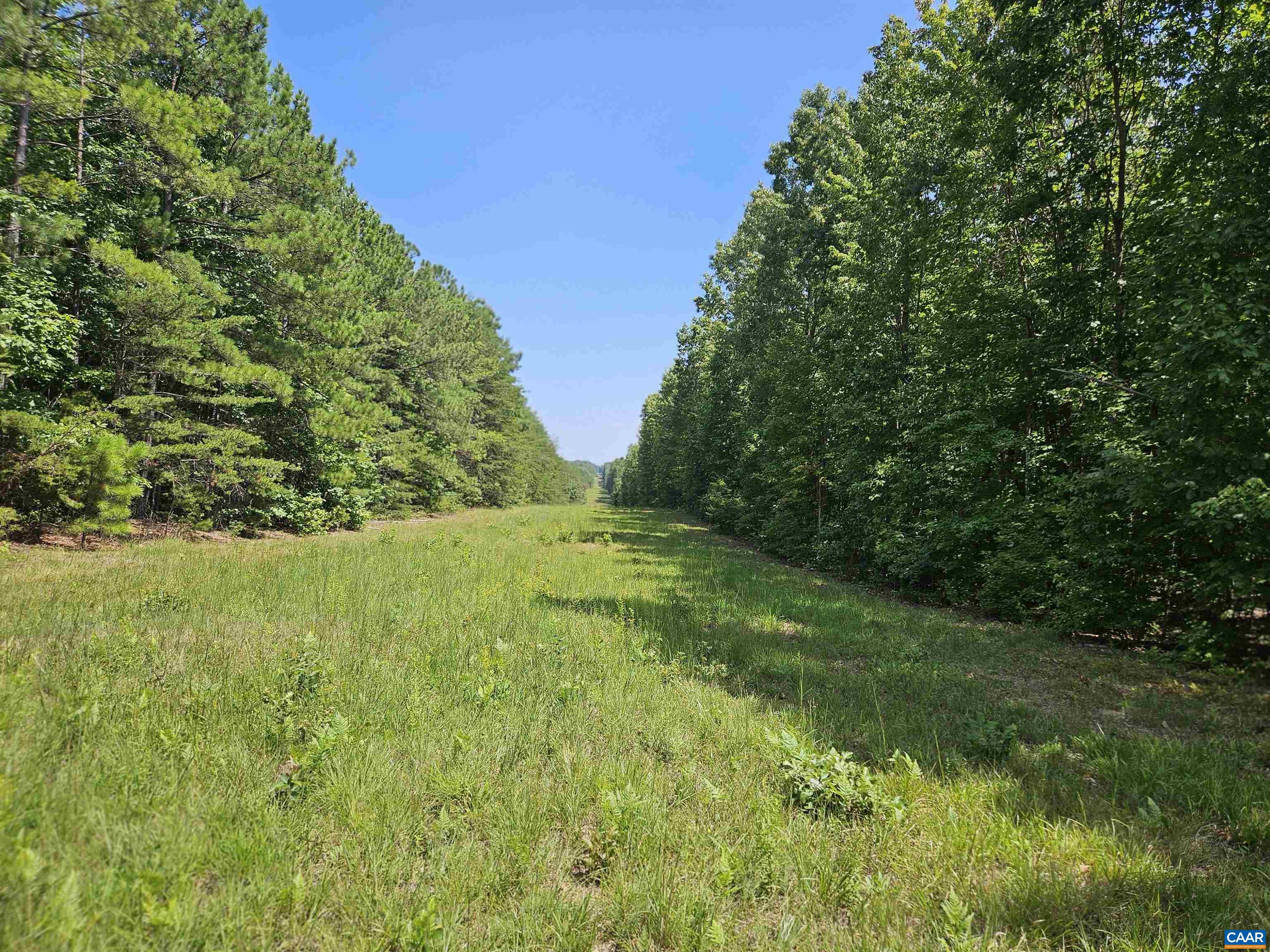 100 Ac W JAMES ANDERSON HWY, GLADSTONE, Virginia 24553, ,Farm,100 Ac W JAMES ANDERSON HWY,675255 MLS # 675255