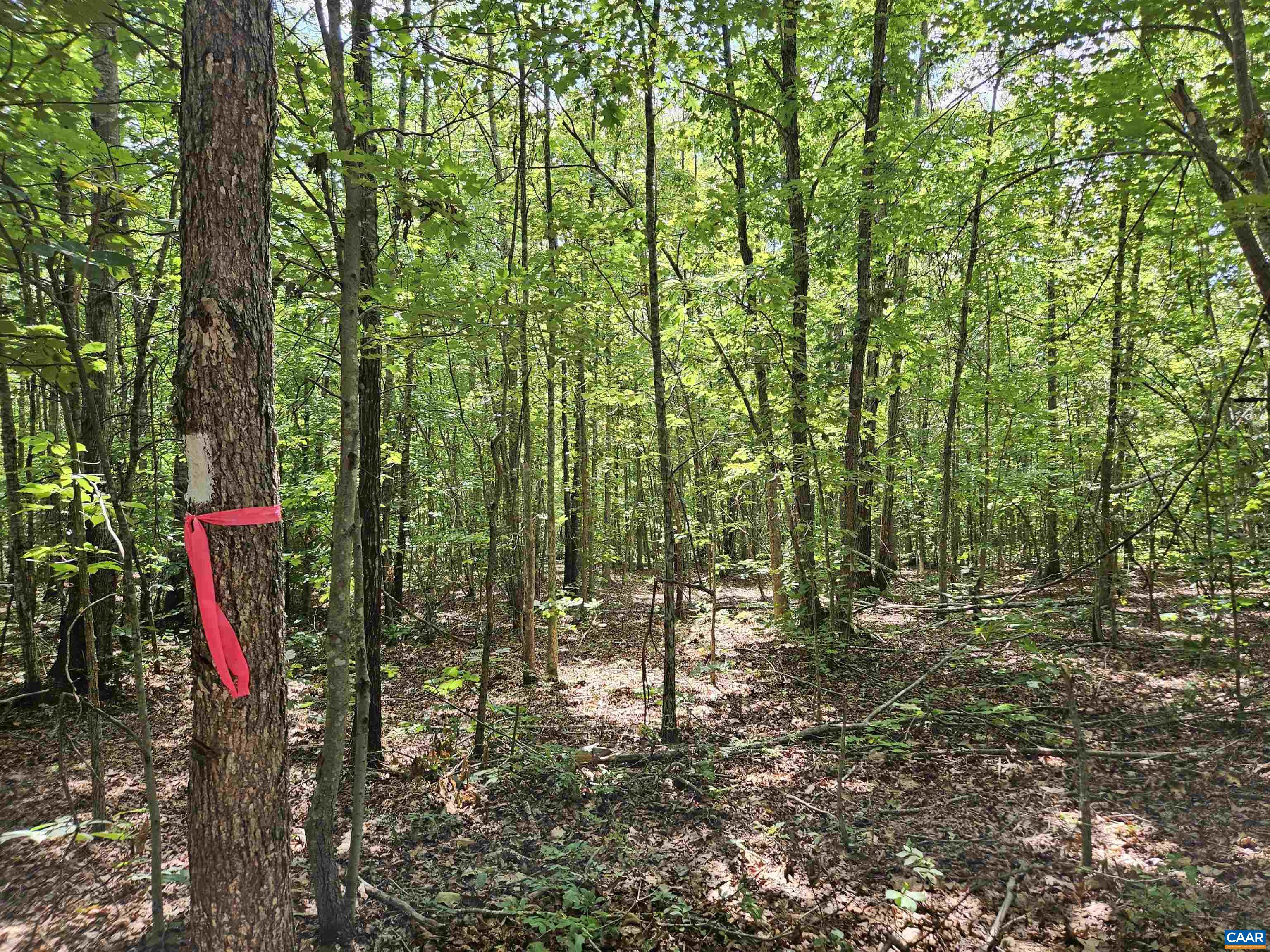 100 Ac W JAMES ANDERSON HWY, GLADSTONE, Virginia 24553, ,Farm,100 Ac W JAMES ANDERSON HWY,675255 MLS # 675255